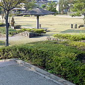 井波彫刻総合会館　館前広場